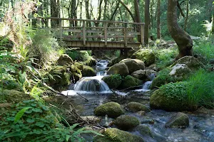 Rio De La Fraga image