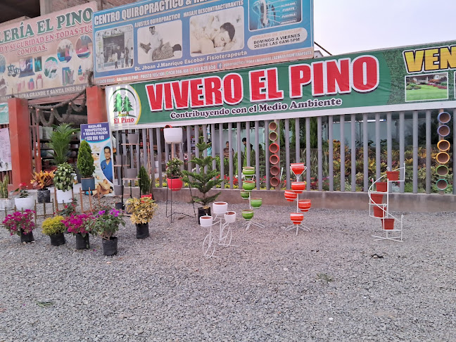 Vivero el Pino Perú - Centro de jardinería