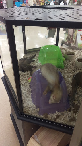 Pet Supply Store «Petco Animal Supplies», reviews and photos, 11111 San Jose Blvd #57, Jacksonville, FL 32223, USA