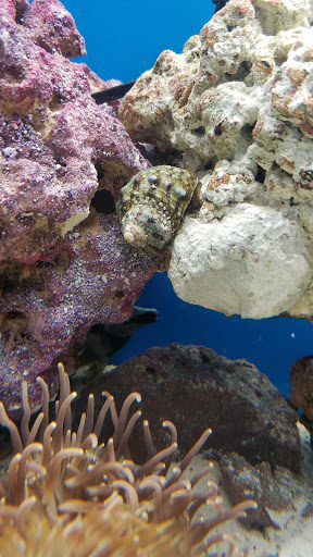 Pet Supply Store «Petco Animal Supplies», reviews and photos, 92 Cluff Crossing Rd, Salem, NH 03079, USA