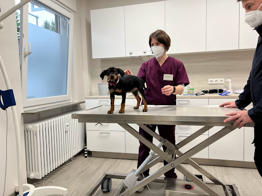 Tierarztpraxis med. vet. M. Geiß unter Mörfelden-Walldorf, 