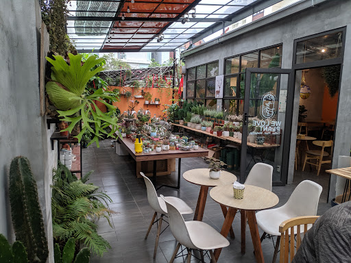 Top 20 quán cafe cho trẻ em Huyện Vĩnh Bảo Hải Phòng 2022