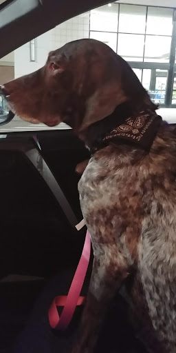 Pet Supply Store «PetSmart», reviews and photos, 14 Crossing Way #2, Augusta, ME 04330, USA