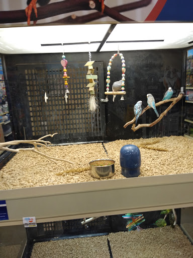 Pet Supply Store «PetSmart», reviews and photos, 8852 Washington Blvd, Pico Rivera, CA 90660, USA