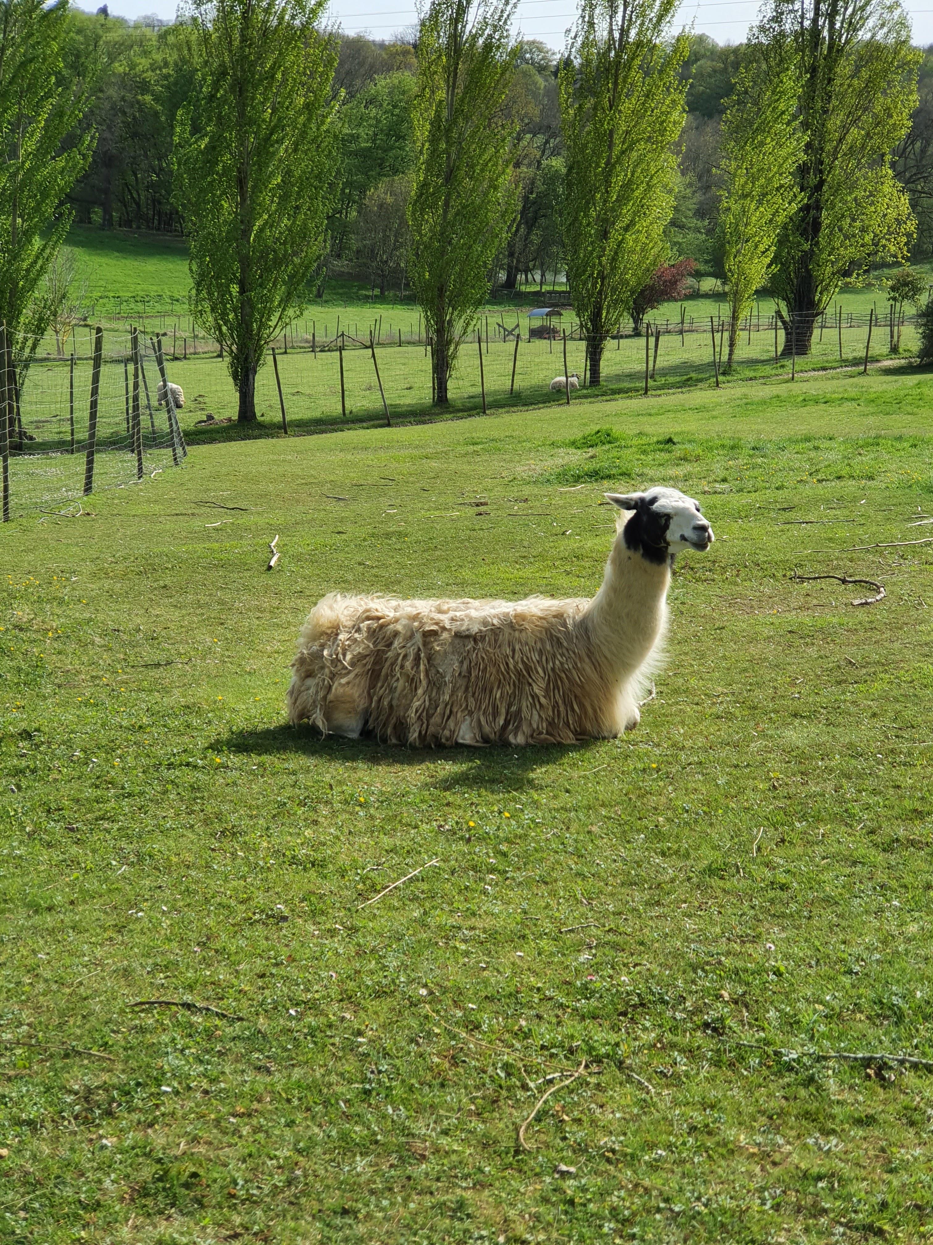 Photo n° 2 de l'avis de laurane.a fait le 11/04/2022 à 15:48