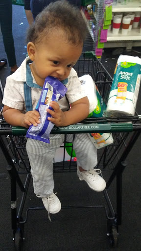 Dollar Store «Dollar Tree», reviews and photos, 7106 Ridge Ave, Philadelphia, PA 19128, USA