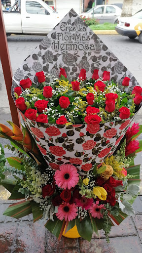 Floreria Sanchez florería en  en la zona Nacozari