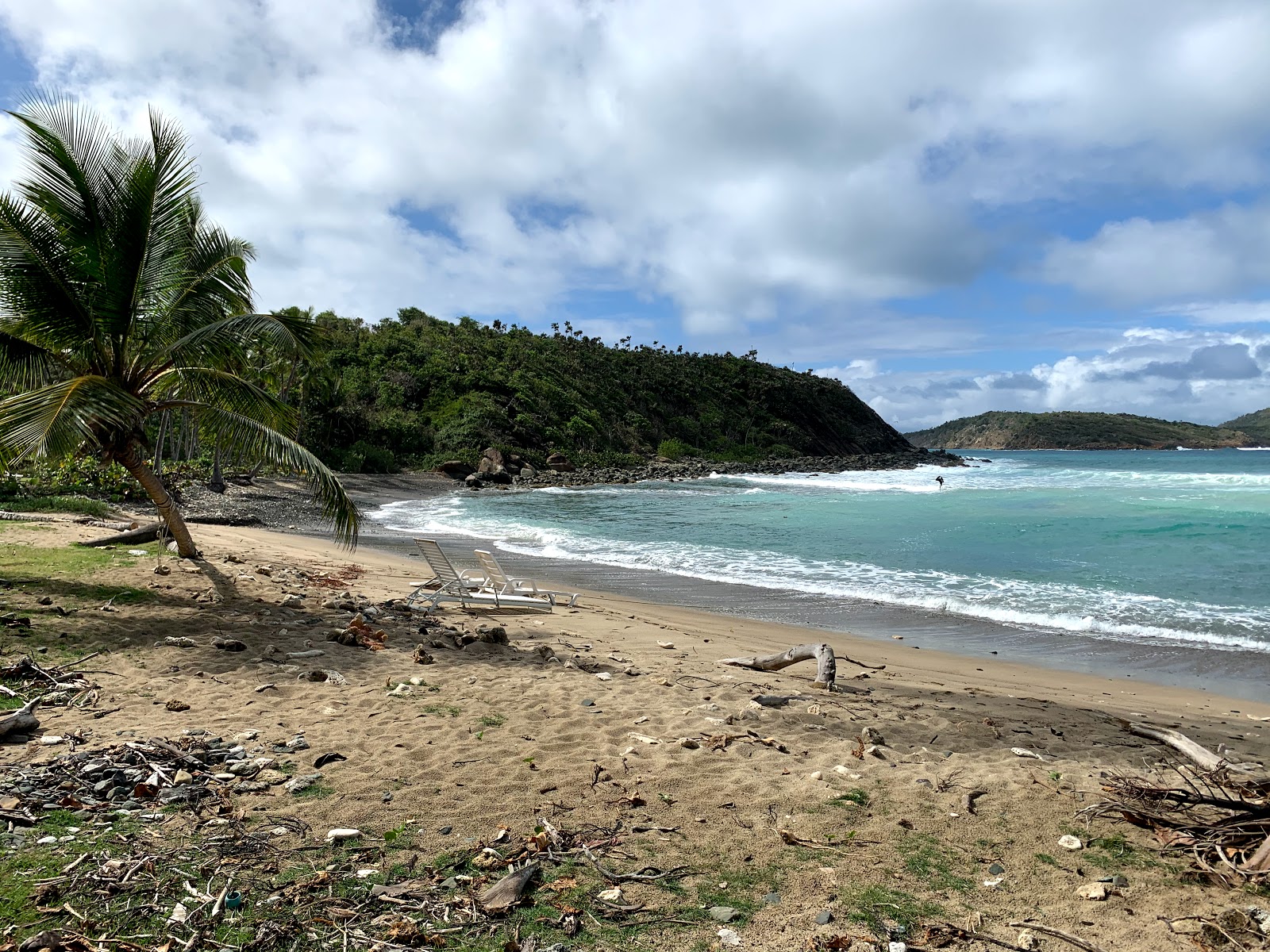 Dorothea beach'in fotoğrafı vahşi alan