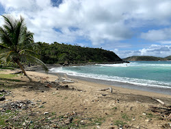 Dorothea beach'in fotoğrafı vahşi alan