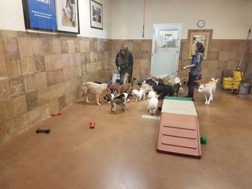 Pet Supply Store «PetSmart», reviews and photos, 21032 S Ellsworth Loop, Queen Creek, AZ 85142, USA