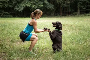 Fitness für Mensch und Hund image