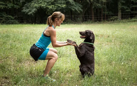 Fitness für Mensch und Hund image