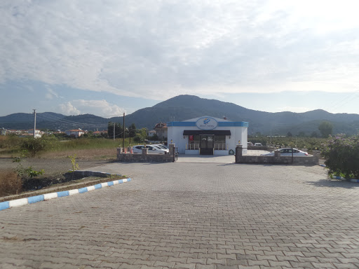 Brave Tours Dalaman Şubesi