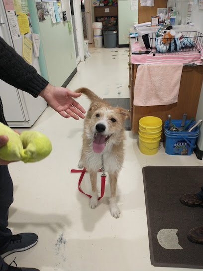 Claresholm Animal Shelter