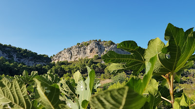 Domaine de la Pierre Droite à Gruissan