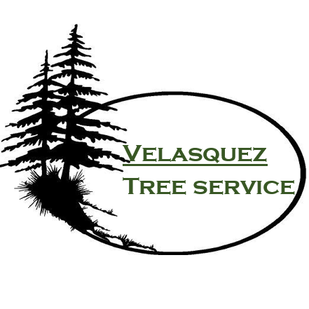 Velasquez Tree Service LLC