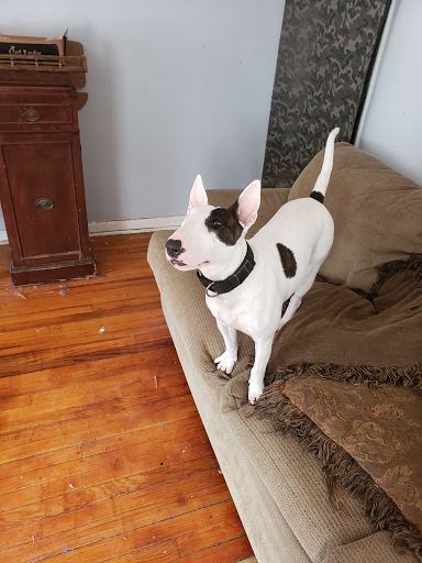 Sporting Goods Store «Academy Sports + Outdoors», reviews and photos, 140 E Bert Kouns Industrial Loop, Shreveport, LA 71106, USA