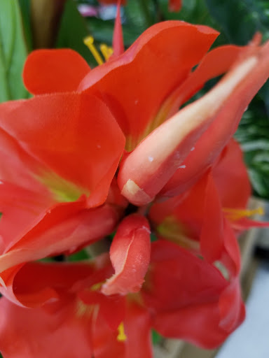 Craft Store «Michaels», reviews and photos, 359 Carroll St, Fort Worth, TX 76107, USA