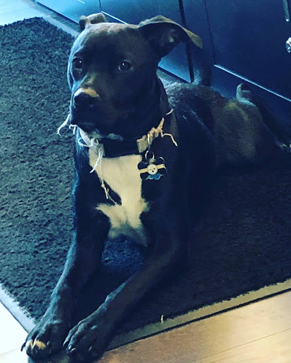 Tobacco Shop «Simple Pleasures», reviews and photos, 17605 Virginia Ave, Hagerstown, MD 21740, USA