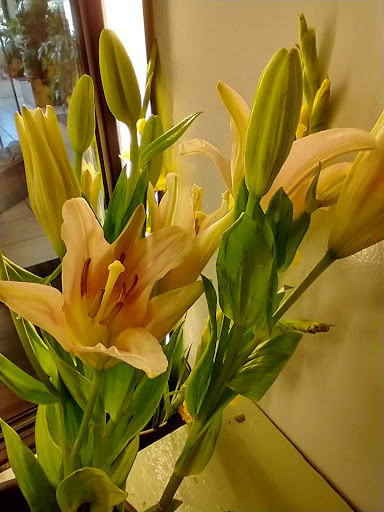 Florist «Grace Harper Florist, Inc.», reviews and photos, 4135 Woodward Ave, Detroit, MI 48201, USA