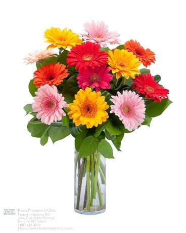 Florist «Knox Flowers & Gifts», reviews and photos, 2005 Columbia Ave, Helena, MT 59601, USA