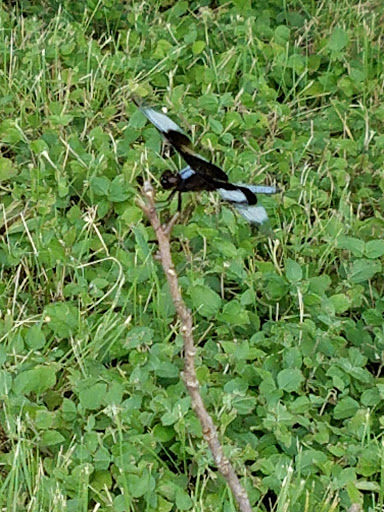 Park «Quanah Parker Park», reviews and photos, 5401 Randol Mill Rd, Fort Worth, TX 76103, USA