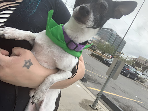 Pet Supply Store «Petco Animal Supplies», reviews and photos, 3637 2700 W, West Valley City, UT 84119, USA