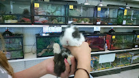 Feeders Pet Supply - Photo 5 - Car repair in Bay City, MI, Saginaw