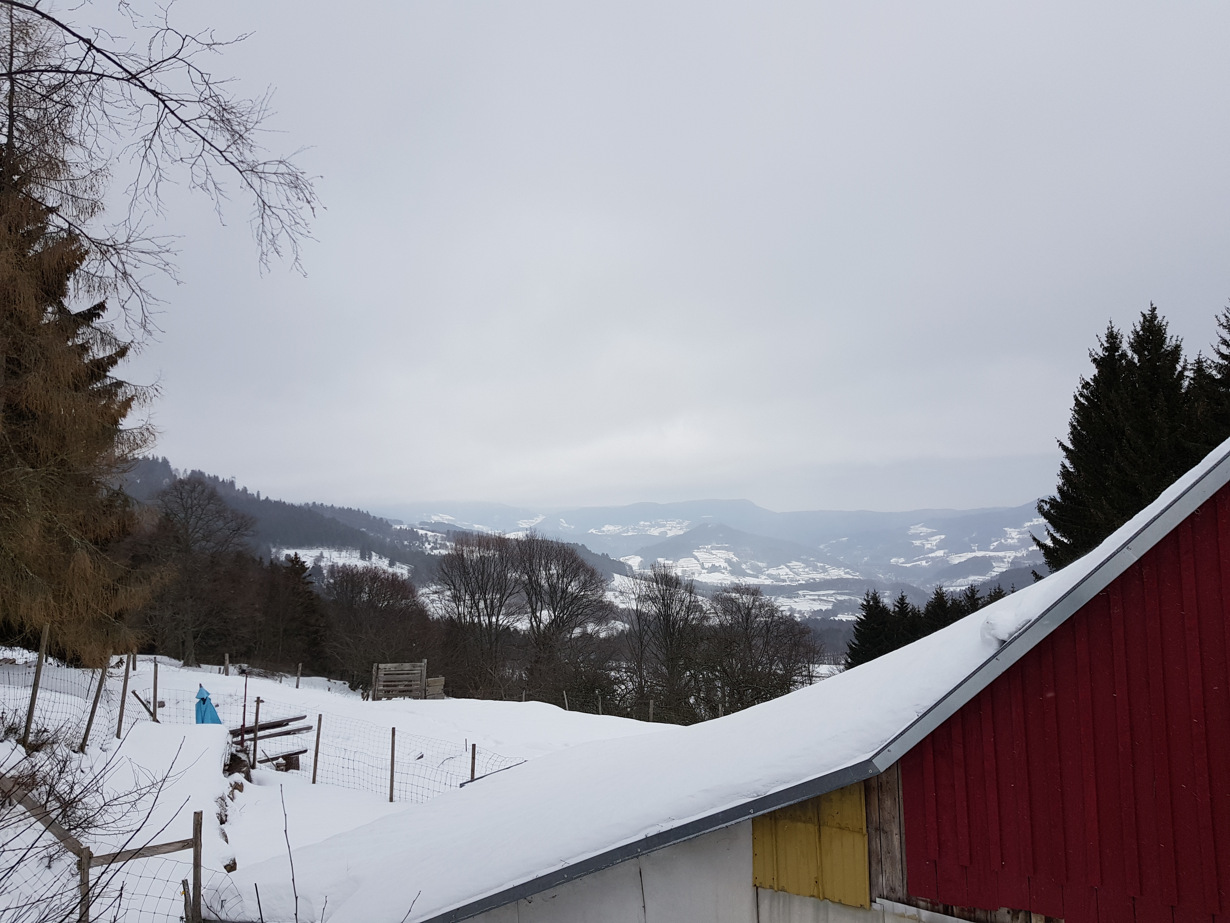 Photo n° 3 de l'avis de Mikolaj.e fait le 03/02/2019 à 10:48