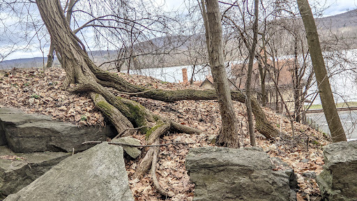 Museum «West Point Museum», reviews and photos, 2110 New South Post Rd, West Point, NY 10996, USA