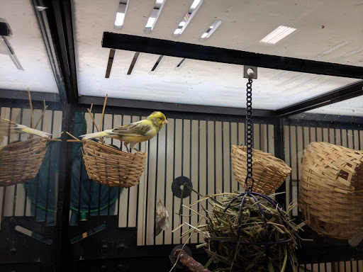 Pet Supply Store «PetSmart», reviews and photos, 7290 W Bell Rd, Glendale, AZ 85308, USA