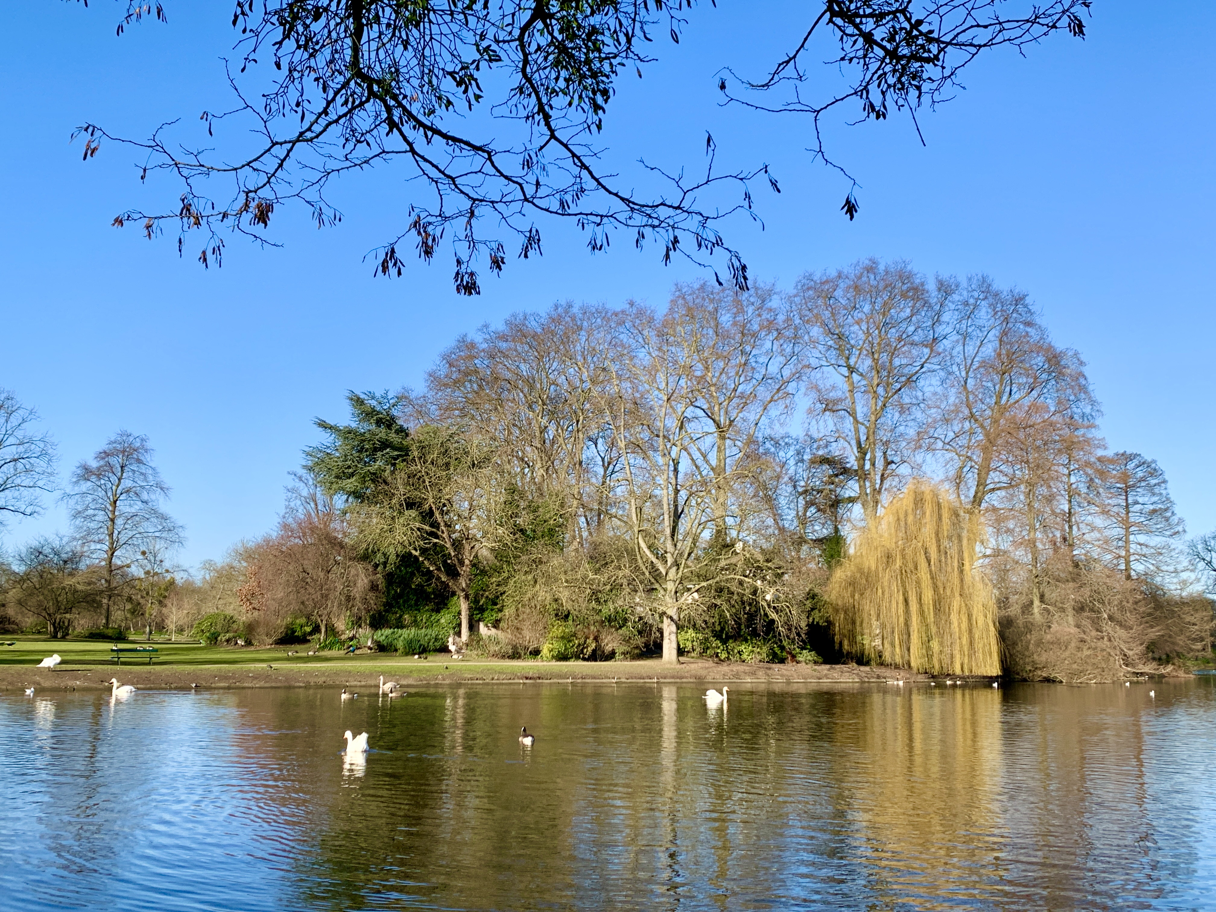 Photo n° 21 de l'avis de Agnès. fait le 10/02/2022 à 08:51