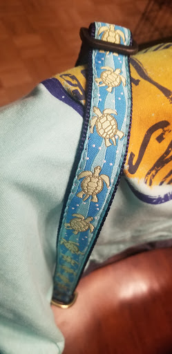 Pet Supply Store «Outer Barks - Water Front Shops», reviews and photos, 1240 Duck Rd, Duck, NC 27949, USA