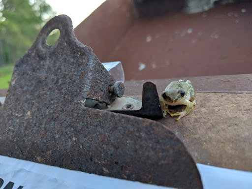 Nature Preserve «Conner Preserve», reviews and photos, 22500 FL-52, Land O Lakes, FL 34637, USA