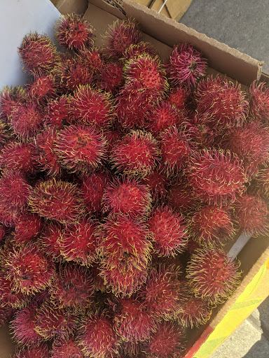 Grocery Store «Ace Market», reviews and photos, 6511 Bay Pkwy, Brooklyn, NY 11204, USA