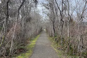 Theler Wetlands Trail image