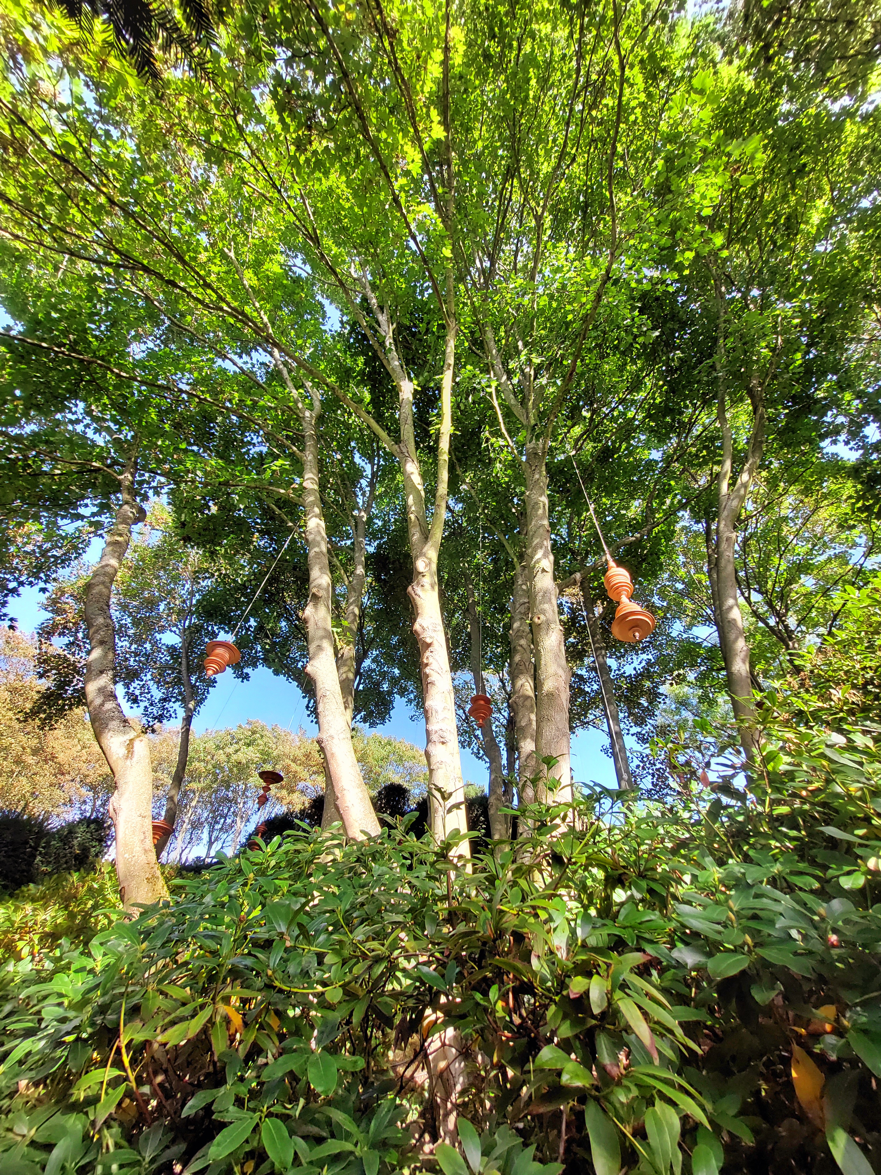 Photo n° 13 de l'avis de N'zo.I fait le 06/10/2022 à 15:25