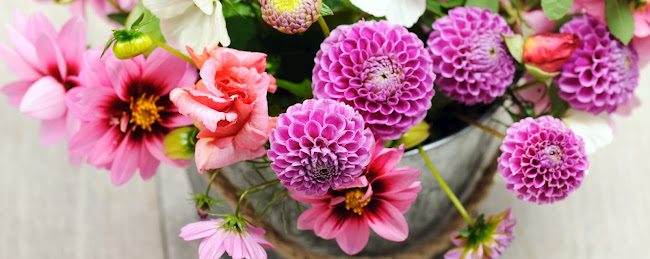 Reviews of Williamson's My Florist in Edinburgh - Florist