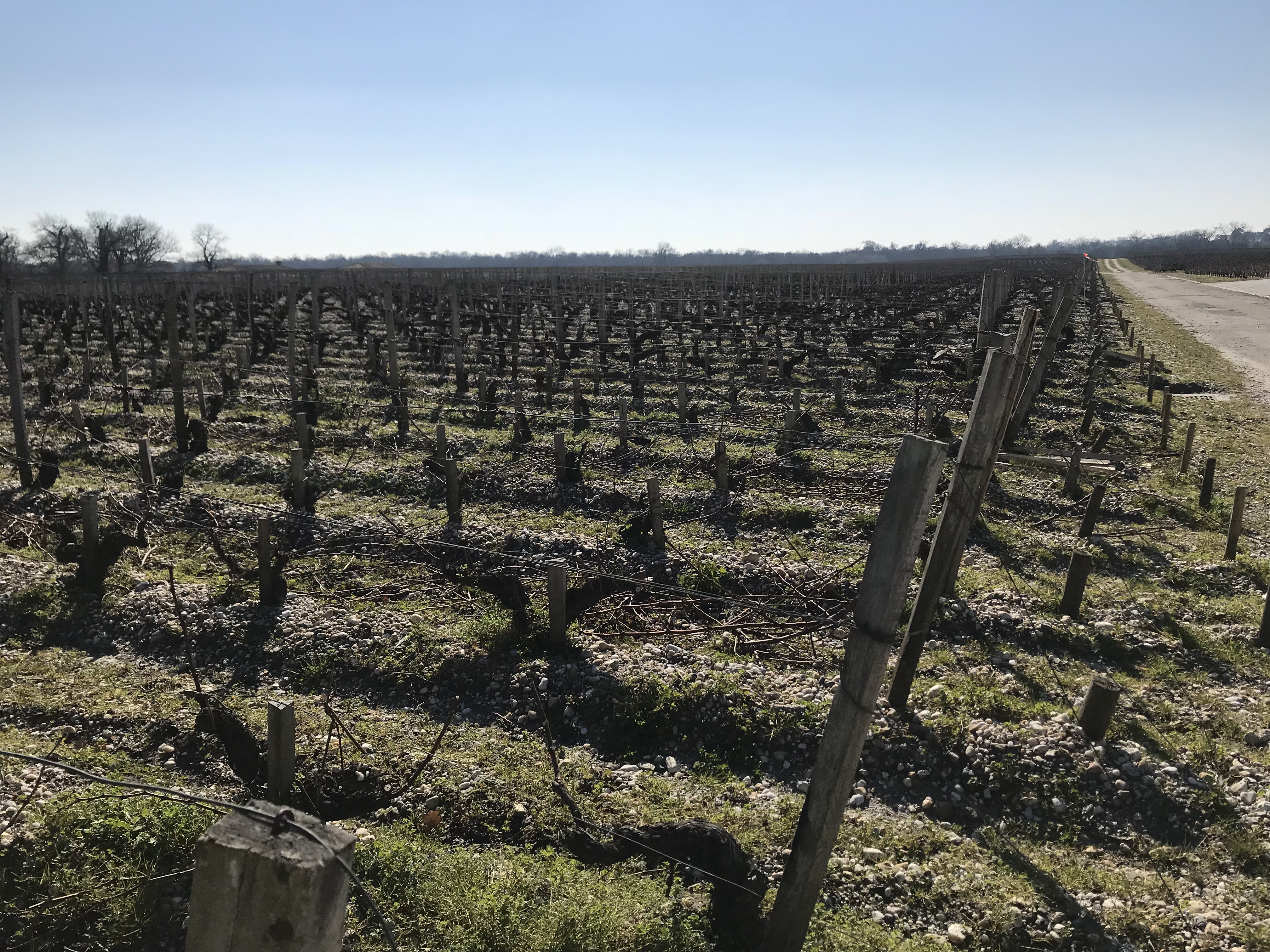 Photo n° 7 de l'avis de toshitsugu.A fait le 09/06/2018 à 16:14