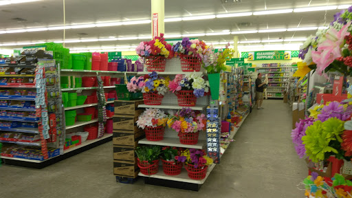 Dollar Store «Dollar Tree», reviews and photos, 16930 US-441 c, Mt Dora, FL 32757, USA