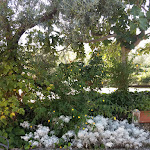 Photo n°7 de l'avis de Qwene.w fait le 28/08/2018 à 22:30 sur le  Il Ciclope - CountryHotel & Restaurant à Arpino