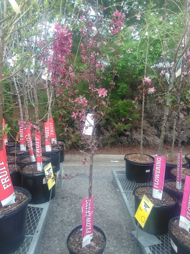 Home Improvement Store «The Home Depot», reviews and photos, 224 S Royal Oaks Blvd, Franklin, TN 37067, USA