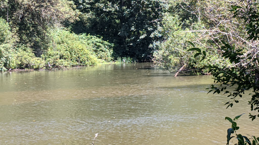 Nature Preserve «Black River Riparian Forest and Wetland», reviews and photos, Oakesdale Ave SW, Renton, WA 98057, USA