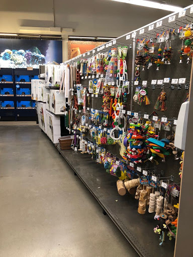 Pet Supply Store «Petco Animal Supplies», reviews and photos, 9111 Metropolitan Ave, Rego Park, NY 11374, USA