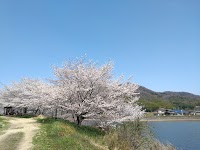 辻堂池