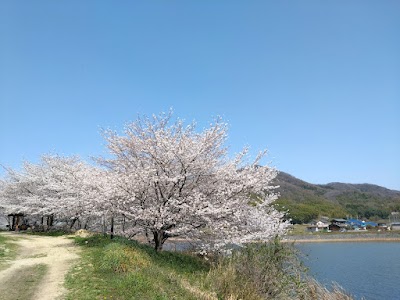 辻堂池