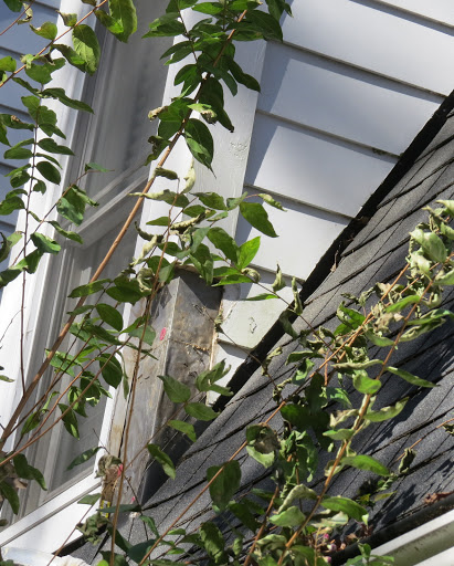 Handyman «Craftsman Direct, Handyman Home Improvement Contractor, Inc.», reviews and photos