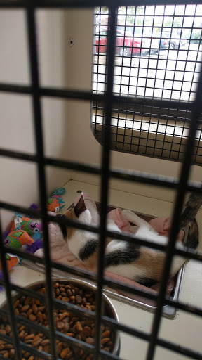 Pet Supply Store «Petco Animal Supplies», reviews and photos, 565 S State St, Westerville, OH 43081, USA