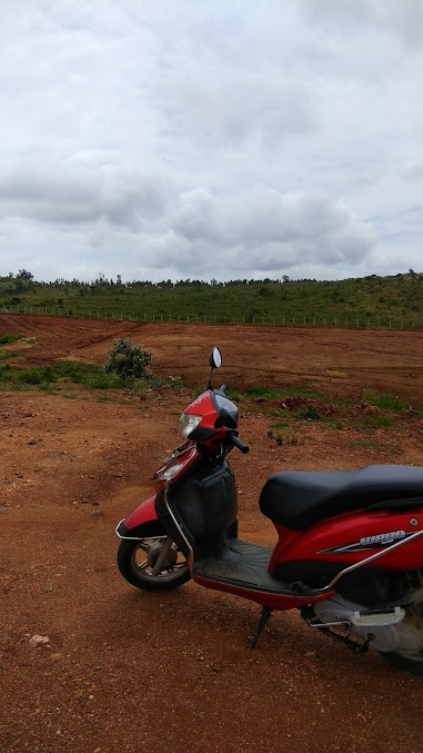 Google Maps image 21