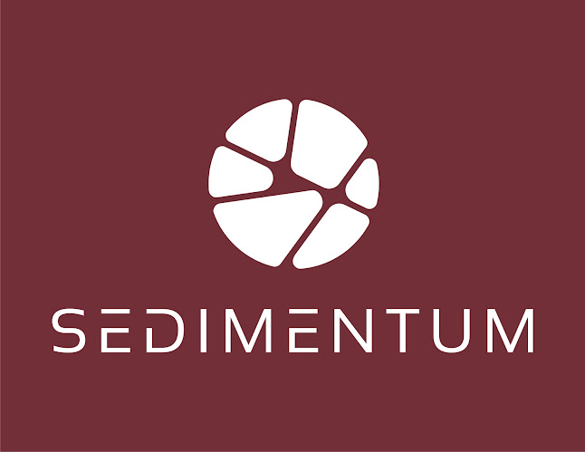 Sedimentum AG - Webdesigner